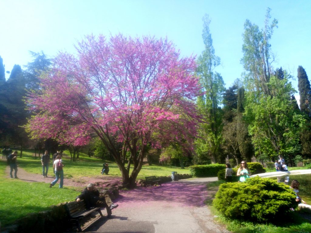 villa borghese