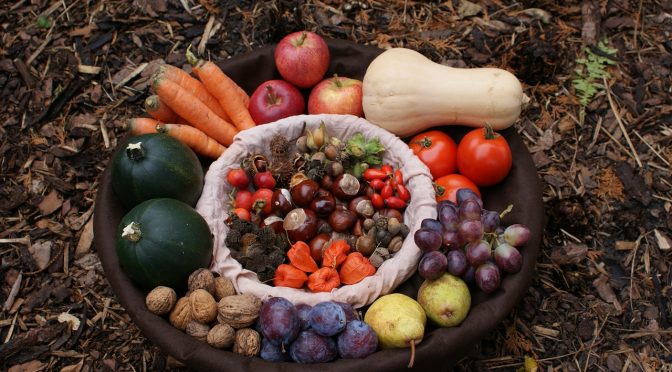 Frutta e verdura autunnali