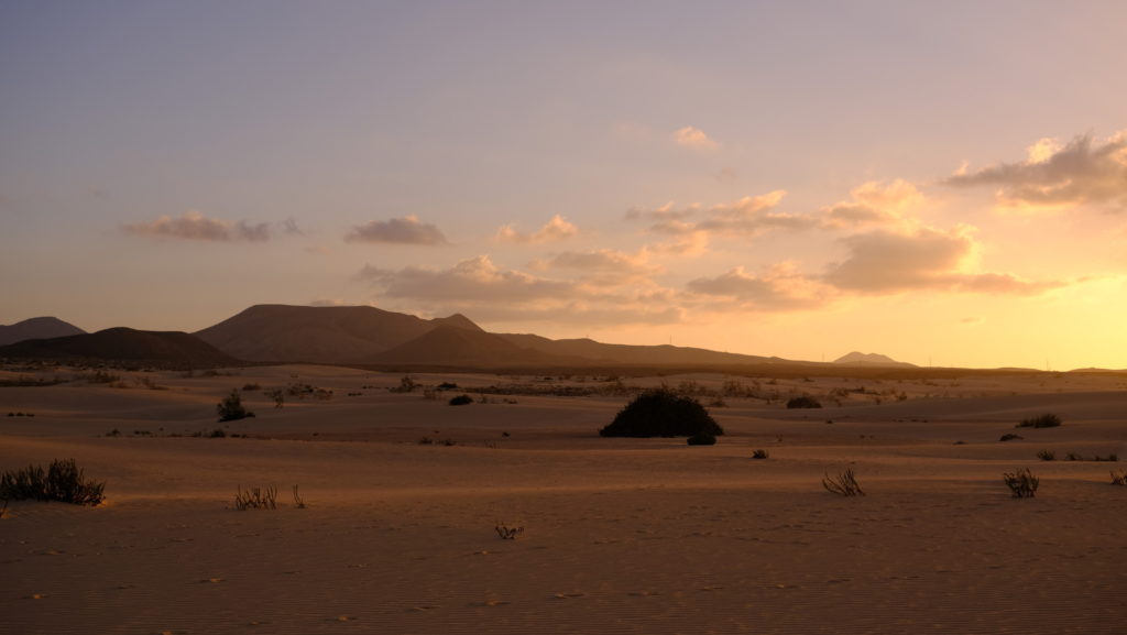 dunas de corralejo