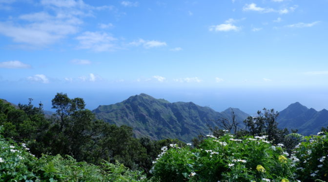 Cosa vedere (e cosa fare) a Tenerife: i luoghi e le attività imperdibili