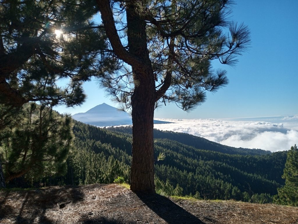 teide